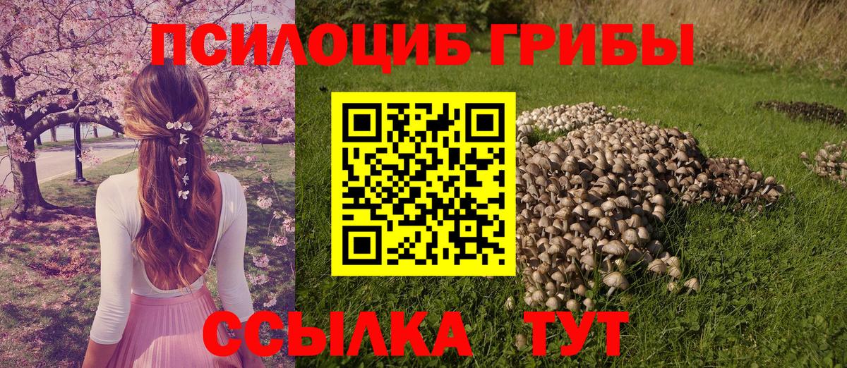 хочу   Галлюциногенные грибы Cubensis  Губаха  Вход с VPN  Псилоцибиновые грибы мицелий 